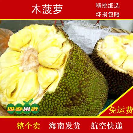 千姬变2之帝女幽魂